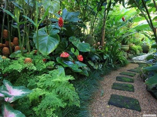 Jardim Tropical