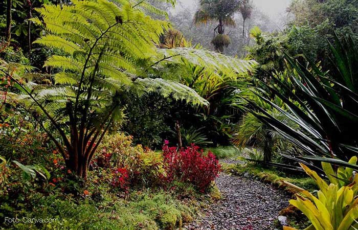 Decoração de jardim Decoração de jardim