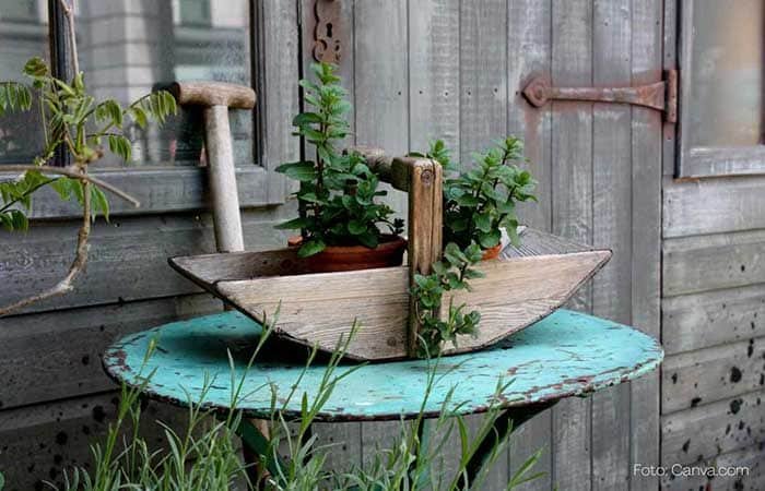 Decoração de jardim Decoração de jardim