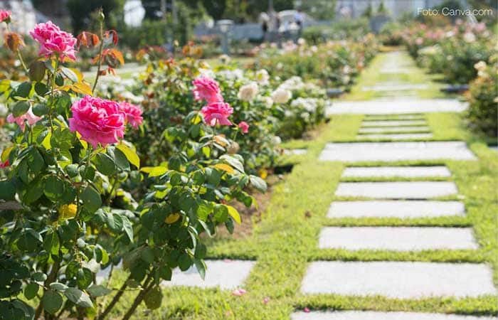 Decoração de jardim Decoração de jardim