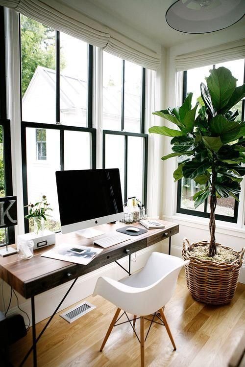 Decoração moderna e retrô com planta ornamental e combinação de cores branca, preta e marrom.