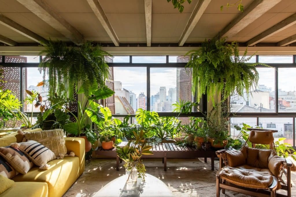 Um pouco de natureza dentro de casa