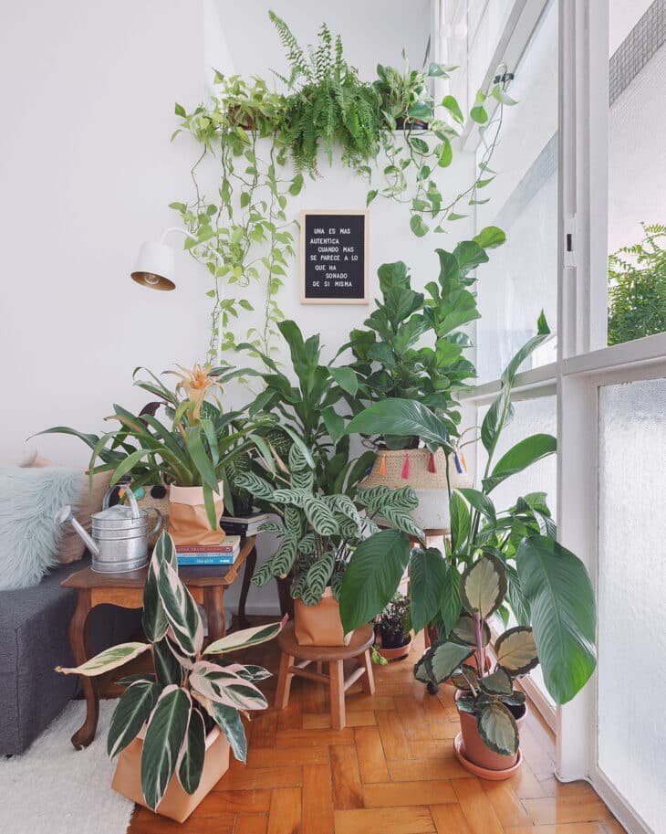 Ideias Criativas para Criar uma Urban Jungle em Casa