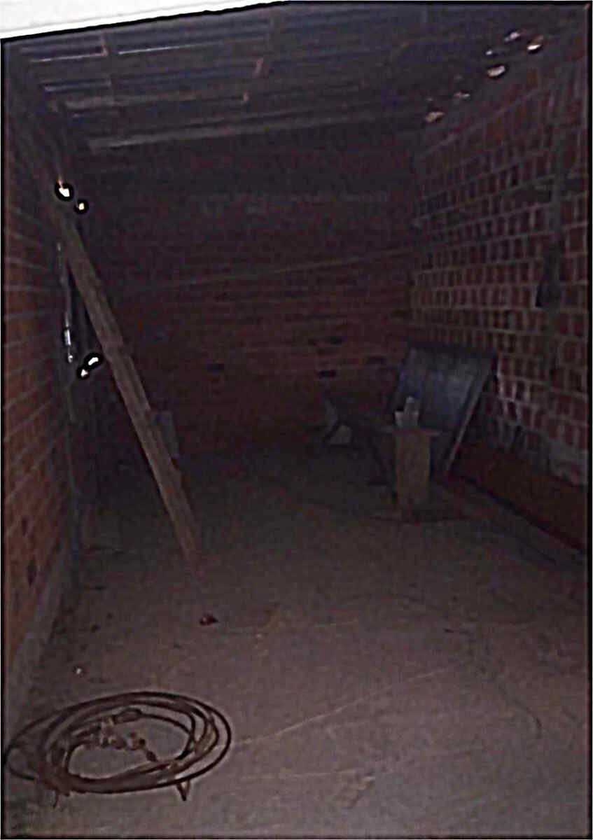 WhatsApp Image 2025 01 28 at 16.51.09