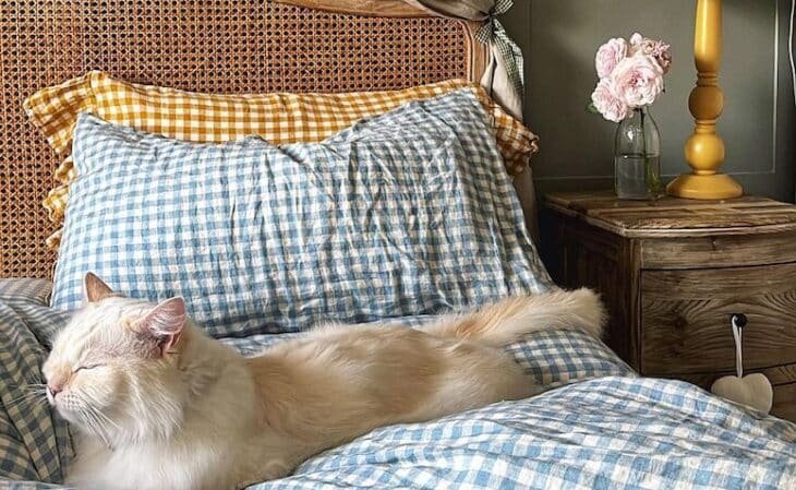 Cottagecore como Estilo de Vida: Simplicidade e Aconchego em Casa