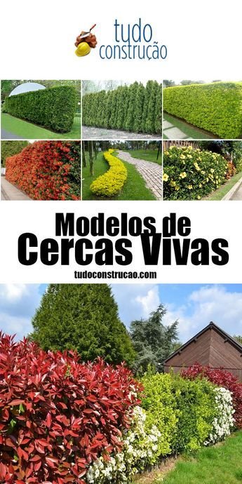 Planejando seu Jardim: Deques, Pátios, Muros, Cercas e Iluminação
