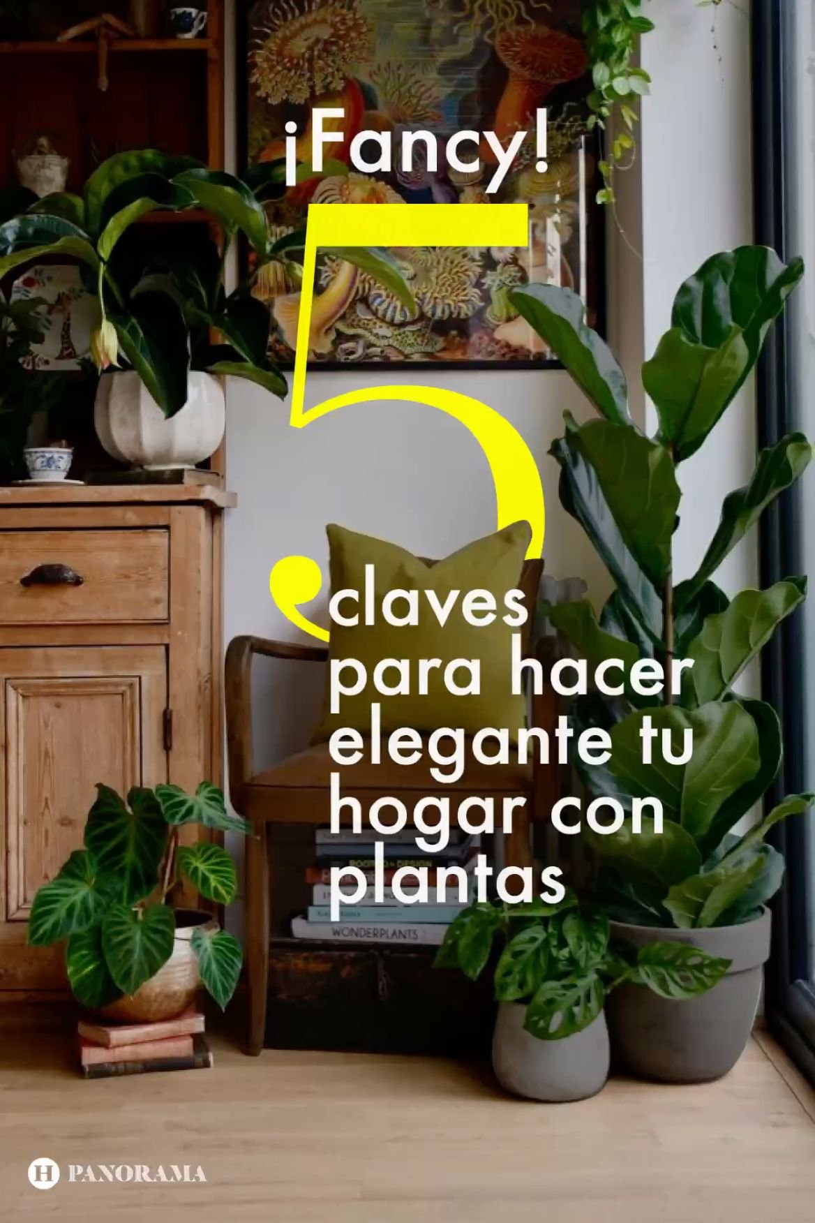 5 Plantas Grandes para Sala que Destacam o Ambiente e São Fáceis de Cuidar 2 5 Plantas Grandes para Sala que Destacam o Ambiente e São Fáceis de Cuidar