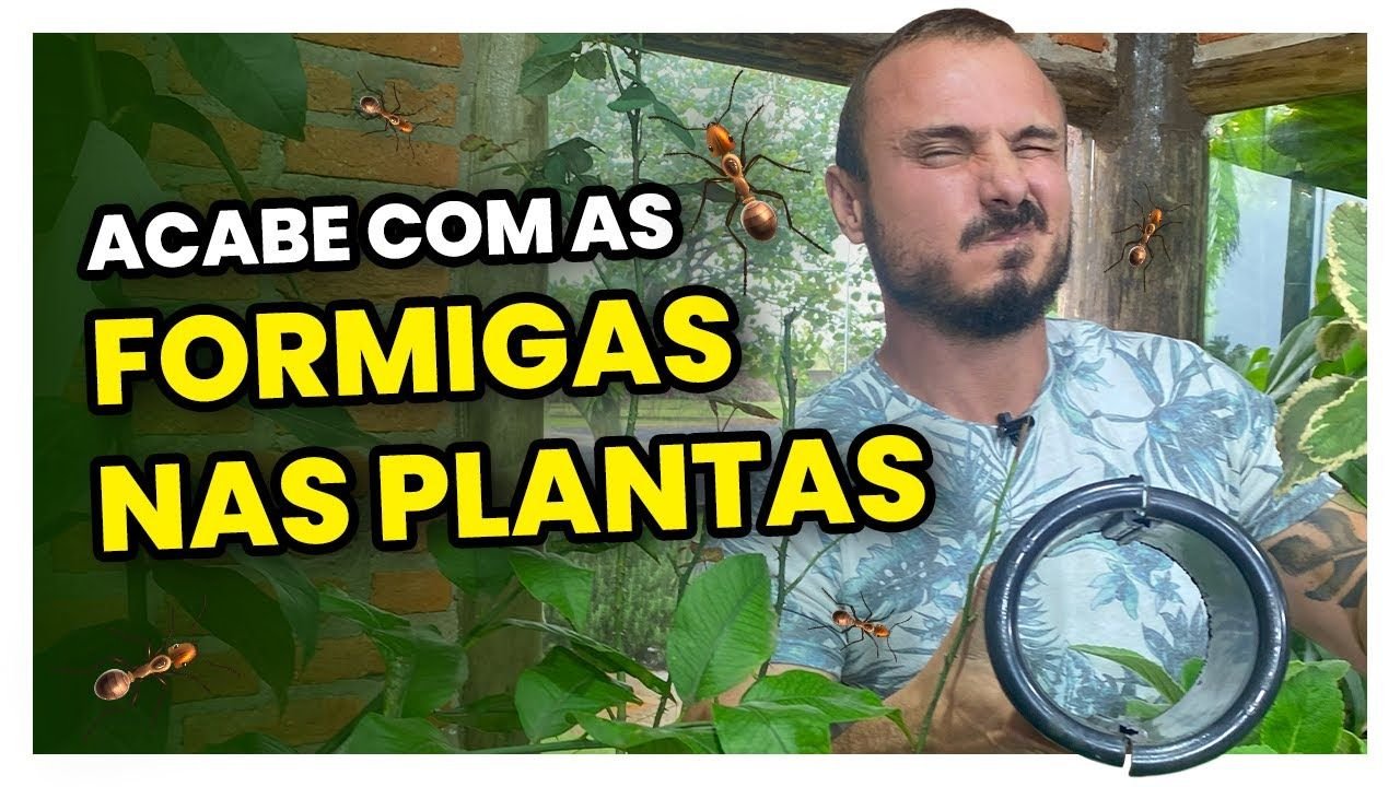 Inseticidas Caseiros: 4 Receitas Simples para Proteger suas Plantas 3 Inseticidas Caseiros: 4 Receitas Simples para Proteger suas Plantas