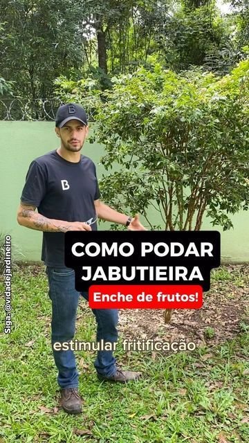 10 Dicas para Economizar Água no Jardim