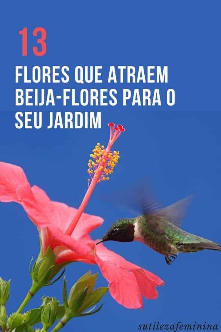 Beijo-pintado : Como Cuidar da Impatiens hawkeri, a Planta que Adiciona Cor e Beleza ao Seu Jardim. 4 Beijo-pintado : Como Cuidar da Impatiens hawkeri, a Planta que Adiciona Cor e Beleza ao Seu Jardim.