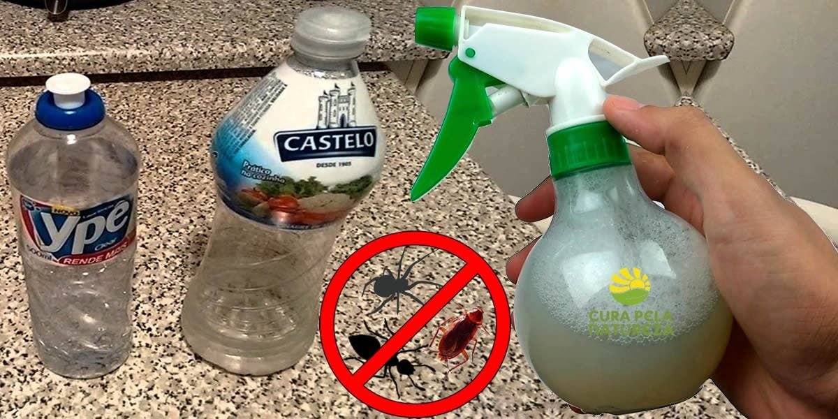 Inseticidas Caseiros: 4 Receitas Simples para Proteger suas Plantas 4 Inseticidas Caseiros: 4 Receitas Simples para Proteger suas Plantas