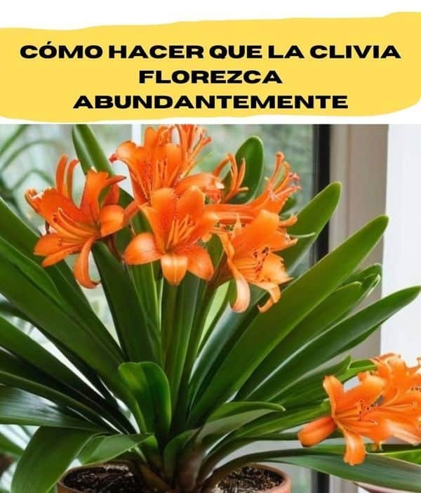 Gerânio Pendente: Cultivo e Cuidados Essenciais para Flores Vibrantes 5 Gerânio Pendente: Cultivo e Cuidados Essenciais para Flores Vibrantes