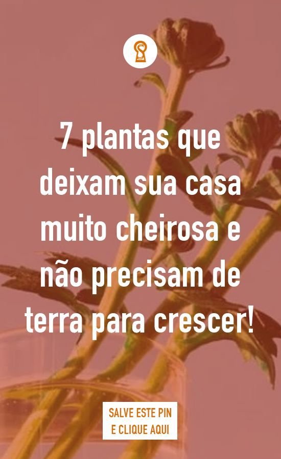 Inseticidas Caseiros: 4 Receitas Simples para Proteger suas Plantas 5 Inseticidas Caseiros: 4 Receitas Simples para Proteger suas Plantas
