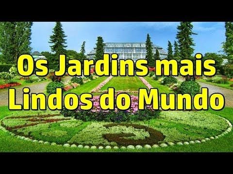 6 Plantas para Jardim que Encantam com suas Belas Flores 5 6 Plantas para Jardim que Encantam com suas Belas Flores