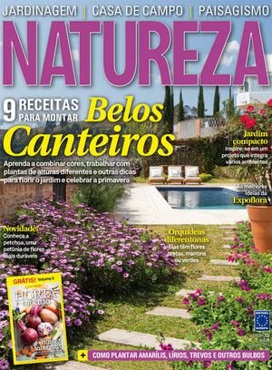 Sintomas Ambientais e Cuidados Inadequados com as Plantas 7 Sintomas Ambientais e Cuidados Inadequados com as Plantas