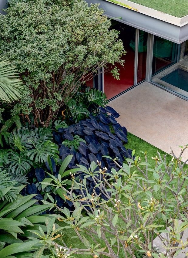 Introdução ao Paisagismo: Construindo Espaços Verdes 2 Introdução ao Paisagismo: Construindo Espaços Verdes