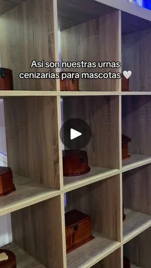 7 Raças de Cachorros Ideais para Apartamentos Pequenos 1 7 Raças de Cachorros Ideais para Apartamentos Pequenos