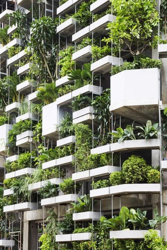 Casas com Paredes Verdes: Arquitetura Viva e Sustentável 3 Casas com Paredes Verdes: Arquitetura Viva e Sustentável