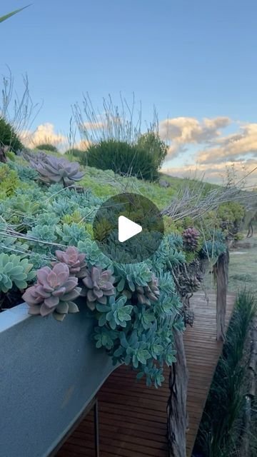 Casas Incríveis com Telhados Verdes e Jardins Suspensos 6 Casas Incríveis com Telhados Verdes e Jardins Suspensos