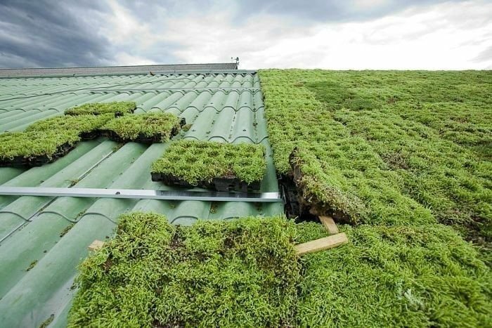 Casas Incríveis com Telhados Verdes e Jardins Suspensos 8 Casas Incríveis com Telhados Verdes e Jardins Suspensos